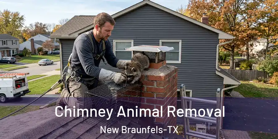 Chimney Animal Removal New Braunfels-TX